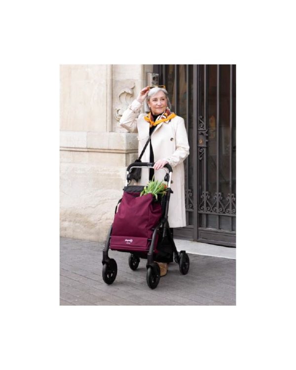 Andador con Carro de Compra y Asiento Plegable - Imagen 11